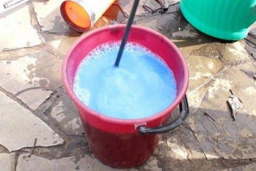 Как приготовить настои из трав для обработки смородины. Чем обработать смородину весной от болезней?