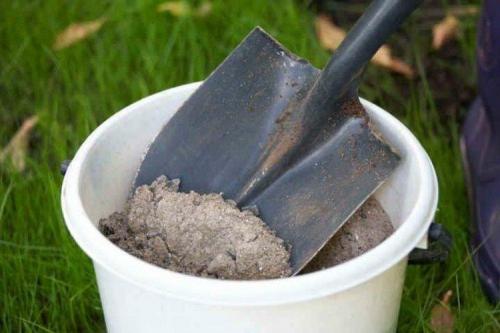 Как приготовить настои из трав для обработки смородины. Чем обработать смородину весной от болезней?