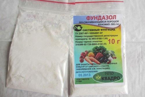 Как приготовить настои из трав для обработки смородины. Чем обработать смородину весной от болезней?