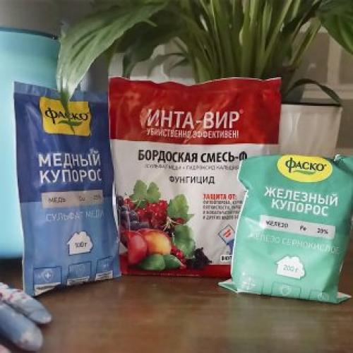 Нужно ли проводить повторные обработки от тли осенью и с какой периодичностью. Апрель