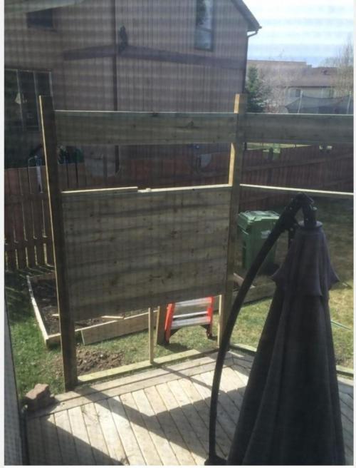 Неожиданное зрелище: что увидела соседка с открытым ртом 05