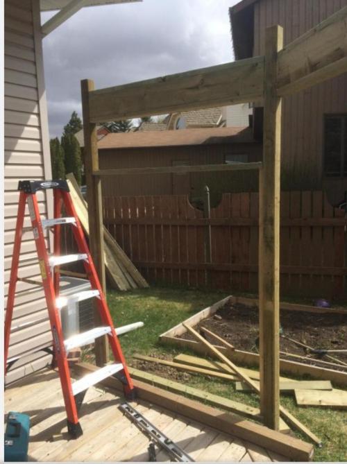 Неожиданное зрелище: что увидела соседка с открытым ртом 06