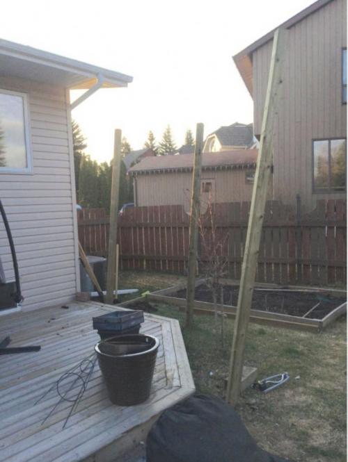 Неожиданное зрелище: что увидела соседка с открытым ртом 02