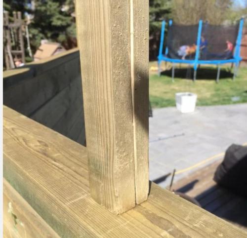 Неожиданное зрелище: что увидела соседка с открытым ртом 07