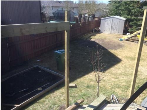 Неожиданное зрелище: что увидела соседка с открытым ртом 04