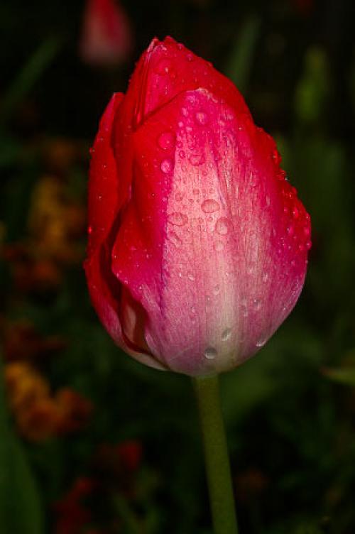 Как обыграть неудобные выступы: практические советы 09