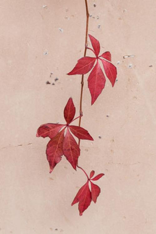 Как обыграть неудобные выступы: практические советы 11