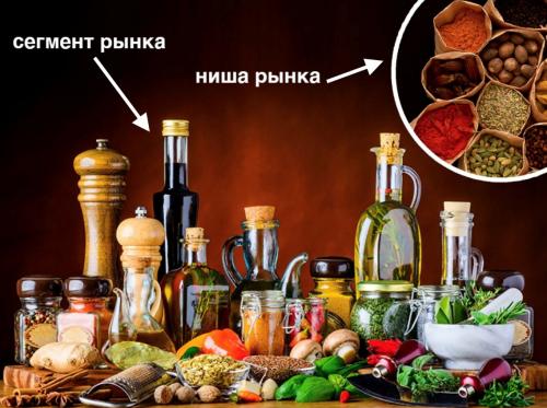 Какие практические функции может выполнять ниша. Рыночная ниша