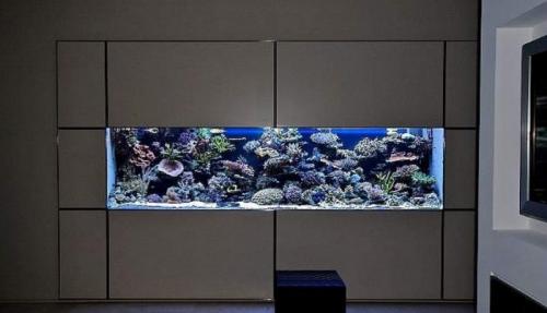 Какие инструменты и материалы мне понадобятся для закрытия ниши. Материалы и инструменты для создания ниши