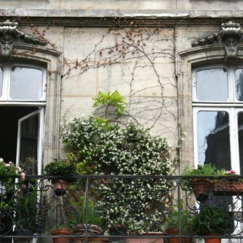 Французские окна для балкона или лоджии. Историческая справка