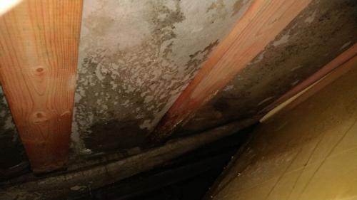 Какие долгосрочные последствия использования пенопласта в доме. Утеплитель пенопласт влаге выхода не даст! Или почему экструдированный полистирол нельзя использовать для утепления деревянных домов   1