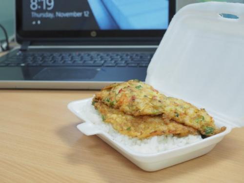 В чем заключается вред полистирола для человека. Влияние полистирола на экологию и здоровье человека