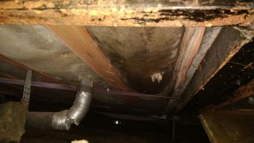 Можно ли использовать пенопласт для изоляции дома. Утеплитель пенопласт влаге выхода не даст! Или почему экструдированный полистирол нельзя использовать для утепления деревянных домов   1